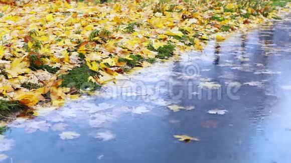 秋天的情景一个人走在水坑旁视频的预览图