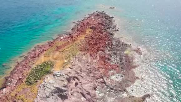 未居住的处女岛是由火山活动造成的野生小海鸥屋视频的预览图