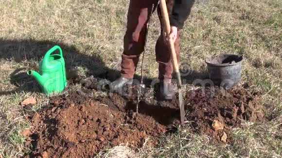 农场果园工人种植苹果树芽视频的预览图