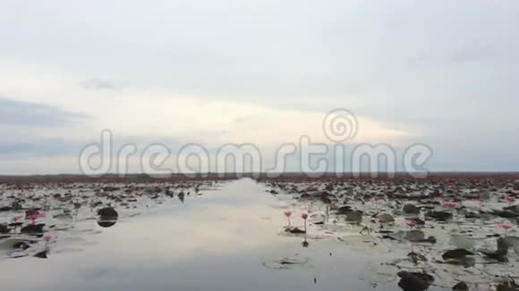 游客乘船游览红睡莲湖视频的预览图