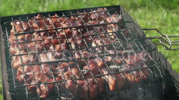 烤架上的肉肉是用煤煎的露营烧烤视频的预览图