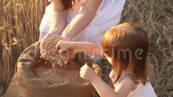 农夫妈妈正在和小儿子玩耍女儿在田里小妈妈视频的预览图