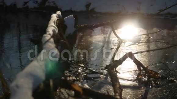 树枝冻在冰林河阳光下自然景观冬季视频的预览图