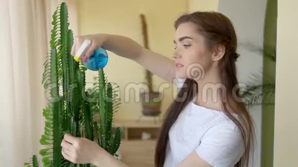 女孩在室内喷洒植物视频的预览图
