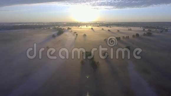 空中日出雾在乡村的树梢视频的预览图