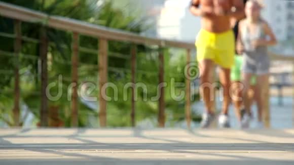 热带公园健身慢跑锻炼健身慢跑视频的预览图