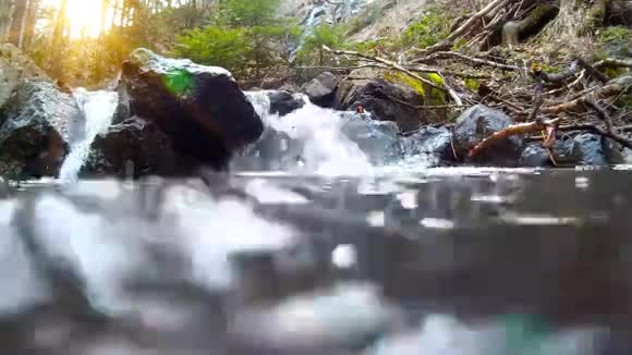 山林中的山涧视频的预览图
