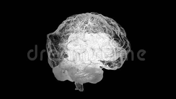 人类白脑上黑科学解剖背景人脑就像全息图普莱克斯白色旋转的人类视频的预览图