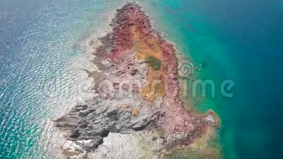 未居住的处女岛是由火山活动造成的野生小海鸥屋视频的预览图