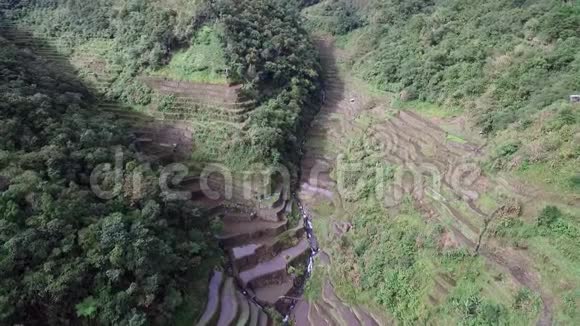 菲律宾的BanaueRiceTerraes视频的预览图