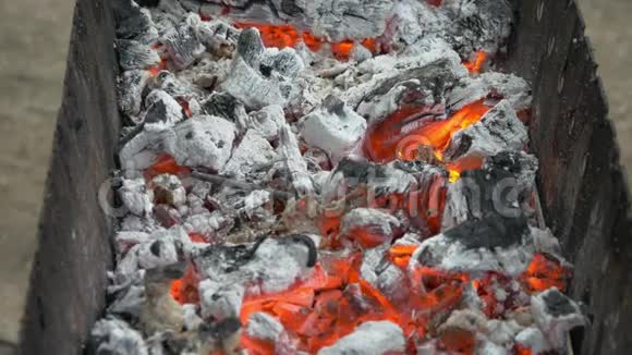 在布拉齐尔燃烧木材和煤准备烧烤串和烤架视频的预览图