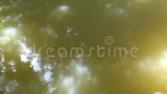 泰国克拉比省著名旅游地标瀑布ThanBokKhorani国家公园清洁绿色自然水源视频的预览图