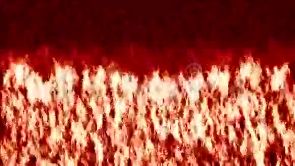 开火FlameLOOP视频的预览图