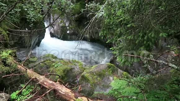 在Zillertal地区的Gerlostal山谷沿着格洛斯河徒步旅行高陶尔山脉视频的预览图