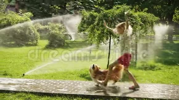 在公园和狗玩耍的小女孩视频的预览图