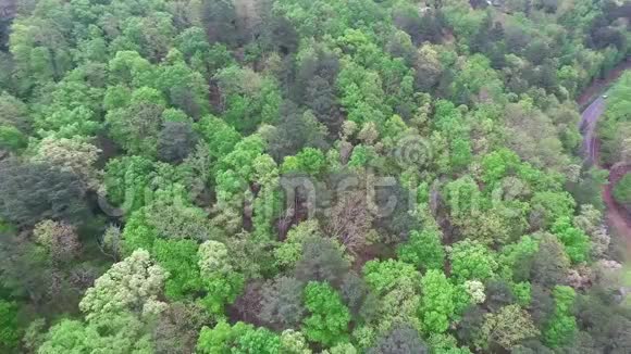 飞越美国的绿色森林阿拉巴马州视频的预览图