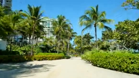 迈阿密海滩大西洋路视频的预览图