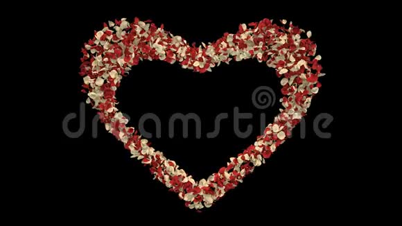 红白色玫瑰花瓣心形阿尔法通道无缝回路4k视频的预览图