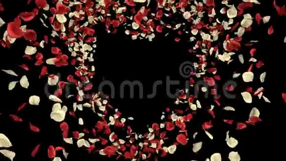 红白色玫瑰花瓣心形阿尔法通道无缝回路4k视频的预览图
