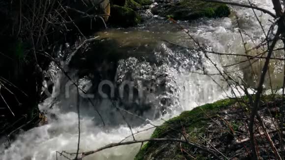 河流在灌木丛之间流动视频的预览图