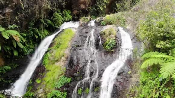 巴厘岛热带岛屿上惊人的瀑布1920x1080视频的预览图