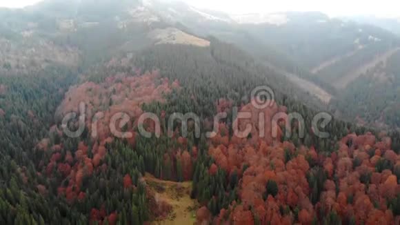 从无人驾驶飞机到喀尔巴阡山秋林的景色视频的预览图