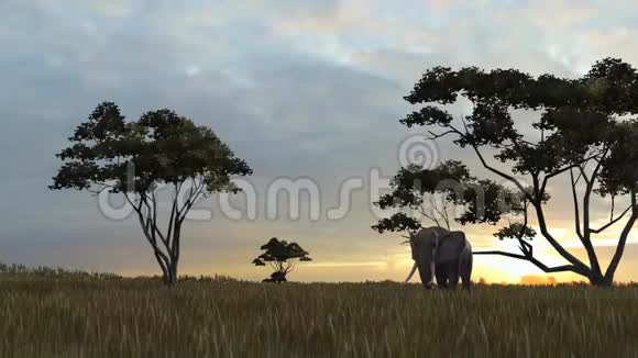 大象穿过热带草原视频的预览图