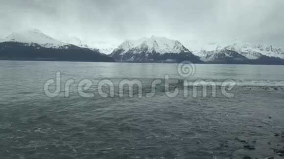 阿拉斯加的波浪和潮汐视频的预览图