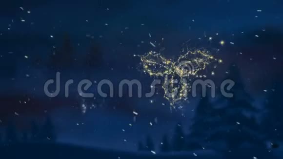 在雪地里绽放圣诞冬青图案视频的预览图