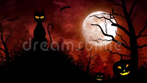 红色背景下的猫和月亮视频的预览图