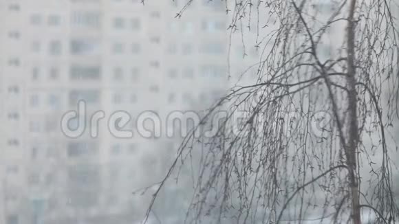 城冬季景观视频的预览图