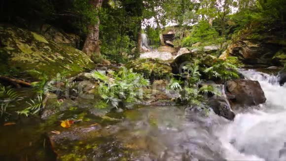 多莉美丽的瀑布在热带森林泰国高清1080P视频的预览图