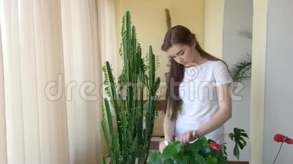 女人喷洒植物视频的预览图