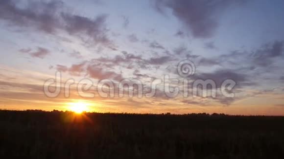 风从麦田向太阳升起视频的预览图