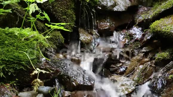 带着冷水的小小溪视频的预览图