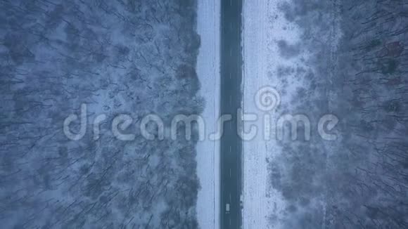 暴风雪中穿过冬季森林的道路上的交通鸟瞰图视频的预览图