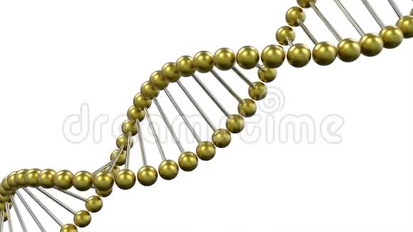 DNA金链在白色背景下旋转视频的预览图
