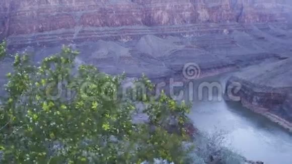 大峡谷地面景观视频的预览图