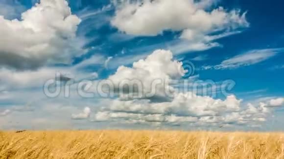 时光流逝夏季云层在麦田上迅速移动视频的预览图