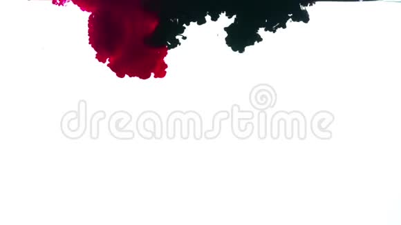 白色背景上的红色和黑色墨水视频的预览图