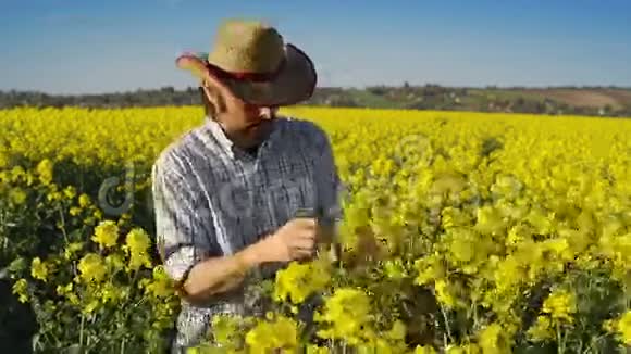 油籽油菜栽培的男性农民农业田间考察与控制植物生长视频的预览图