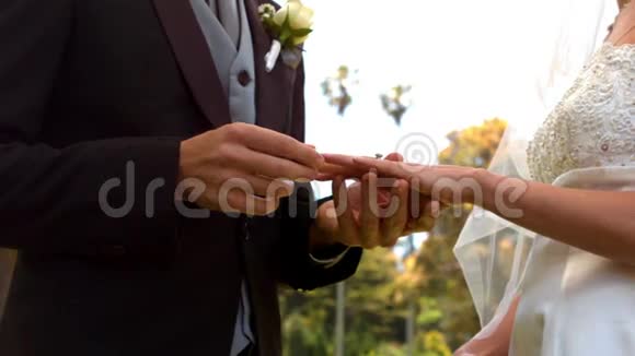 男人把戒指戴在新娘的手指上视频的预览图