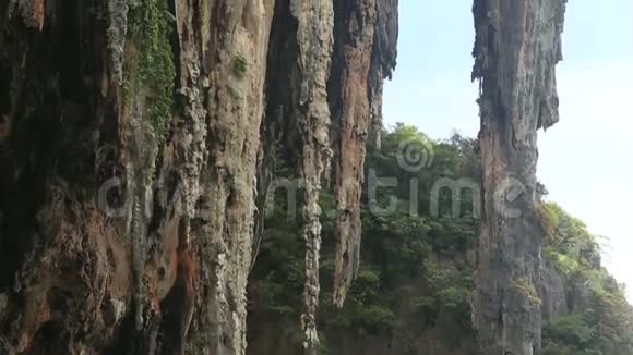有洞穴和树木的悬崖视频的预览图