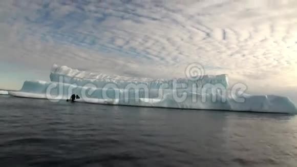北极的冰山和冰在海洋中黎明视频的预览图