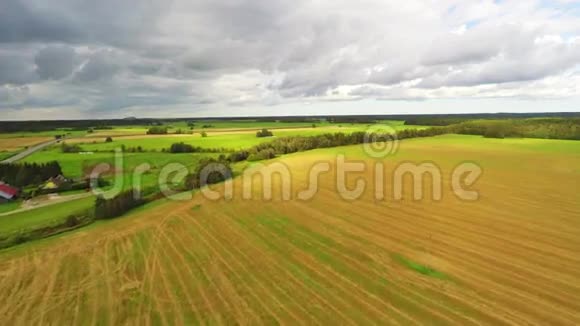 空中镜头飞过绿草如茵的田野美丽的巨大云层视频的预览图