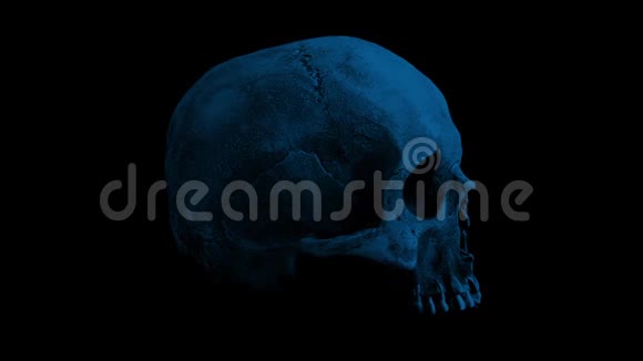 古老的人类头骨在黑暗循环中旋转视频的预览图