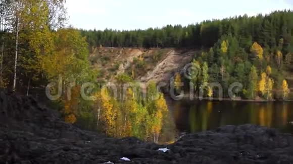 秋季森林河流全景图视频的预览图