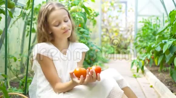 温室里拿着大西红柿的孩子的画像视频的预览图