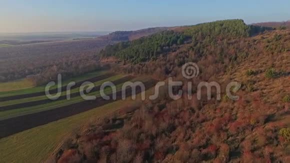 秋天田野和森林的空中景色视频的预览图