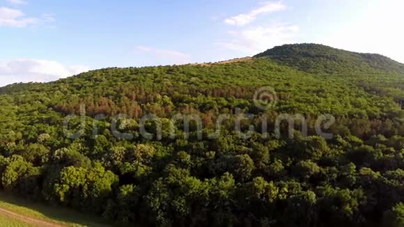 巴尔干混合森林空中视频的预览图
